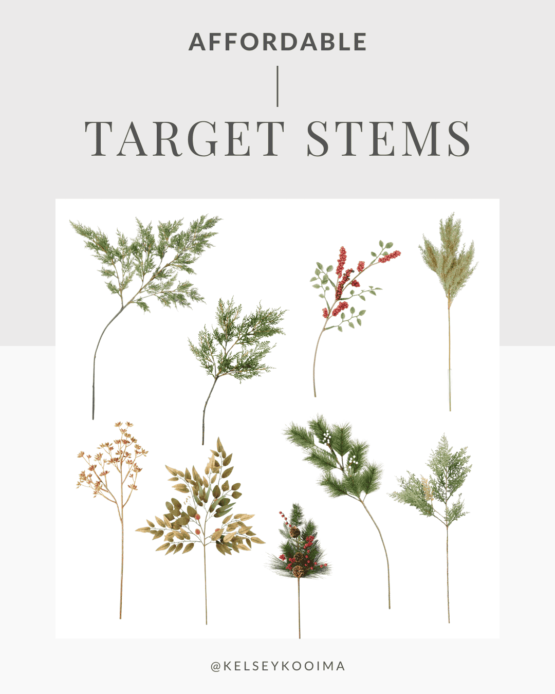 target stems
