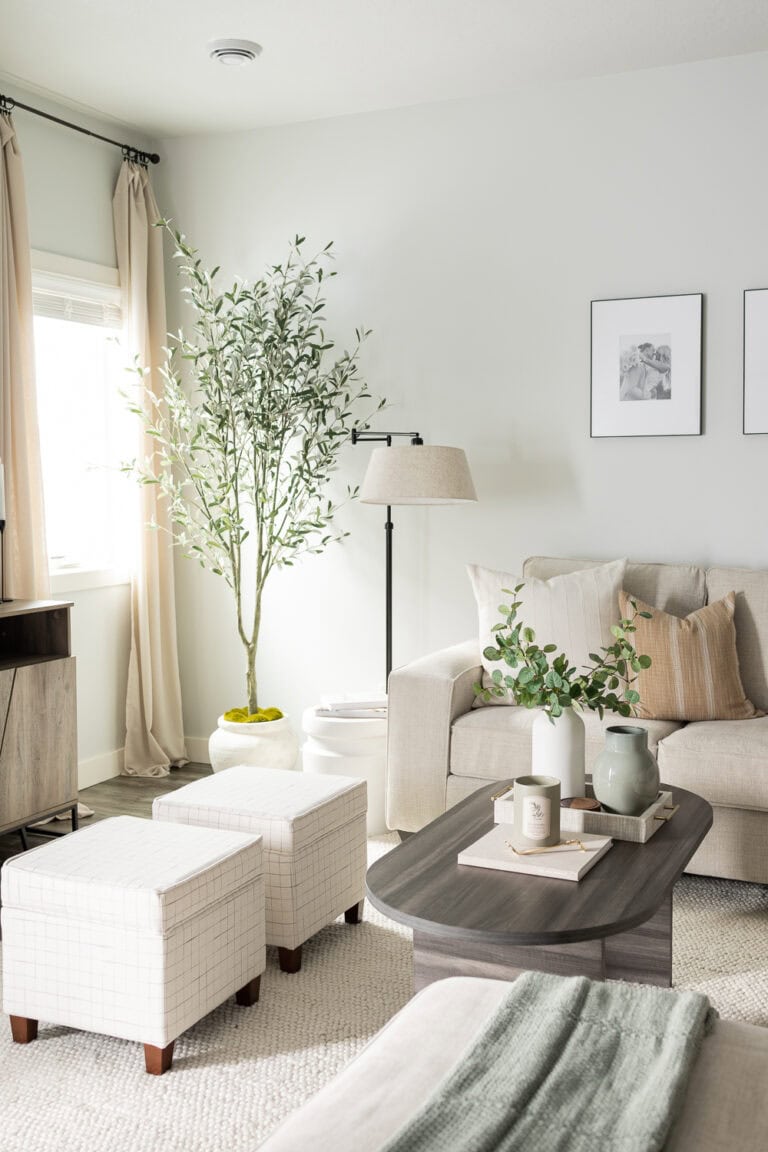 Functional Decor in Our Home that Doubles as Storage